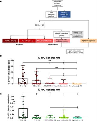 Ten Color Multiparameter Flow Cytometry in Bone Marrow and Apheresis Products for Assessment and Outcome Prediction in Multiple Myeloma Patients